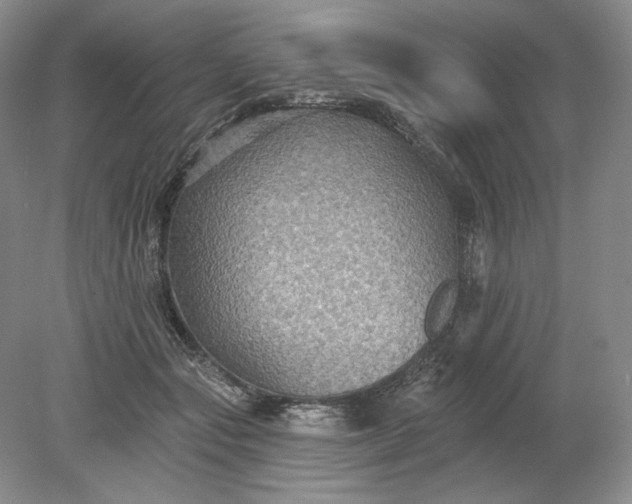 X0000079290557200612011727