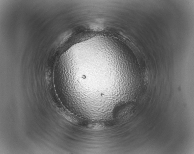 X0000079290559200612011727
