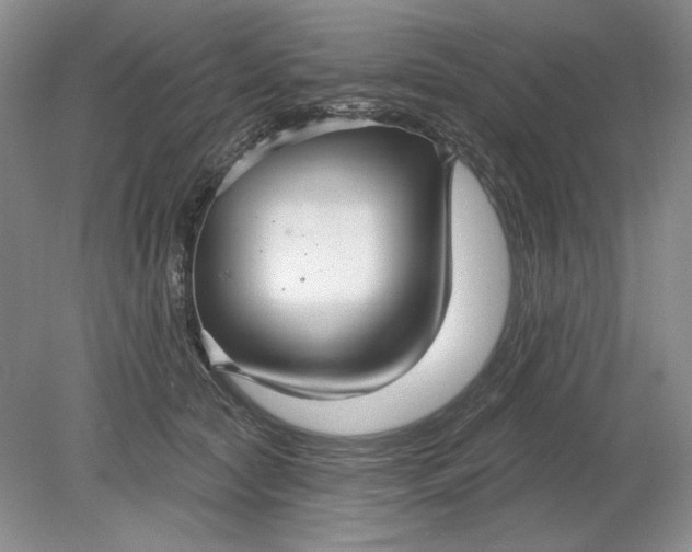 X0000079290561200612011727