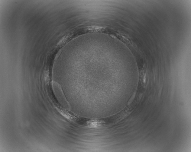 X0000079290564200612011727