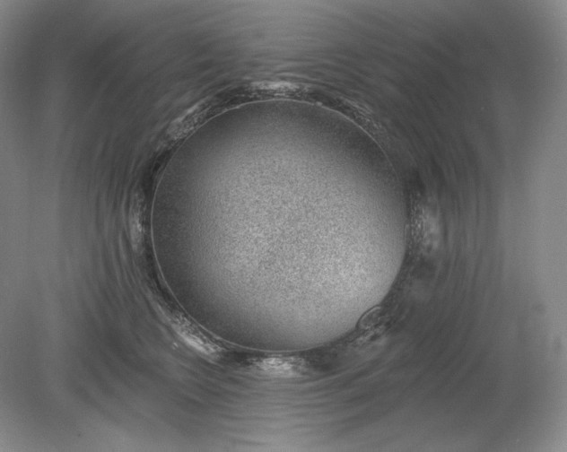 X0000079290566200612011727