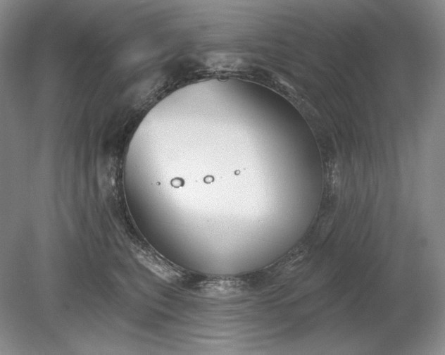 X0000079290567200612011727