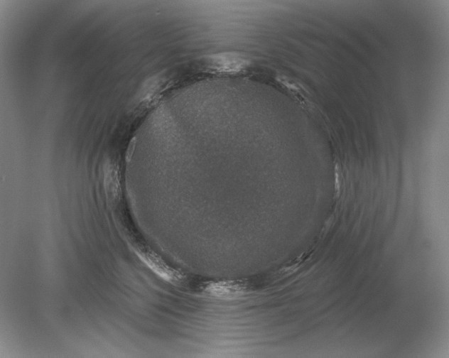 X0000079290568200612011727