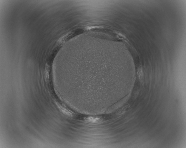 X0000079290570200612011727