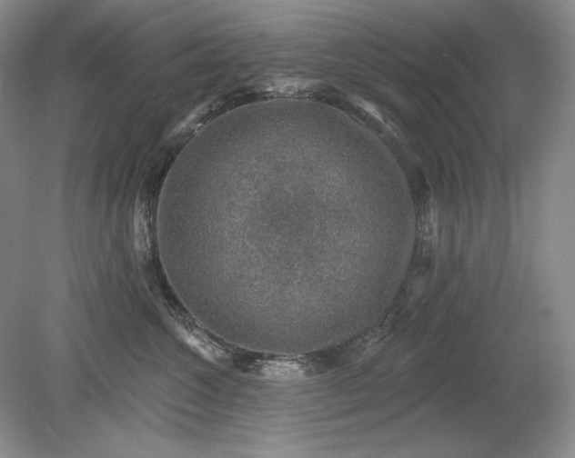 X0000079290572200612011727