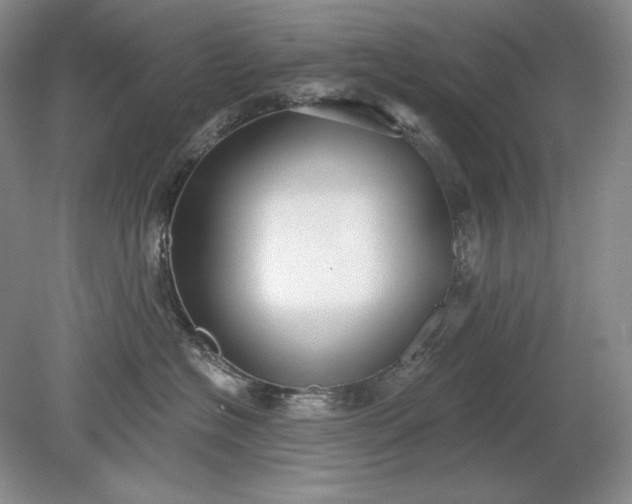 X0000079290574200612011727