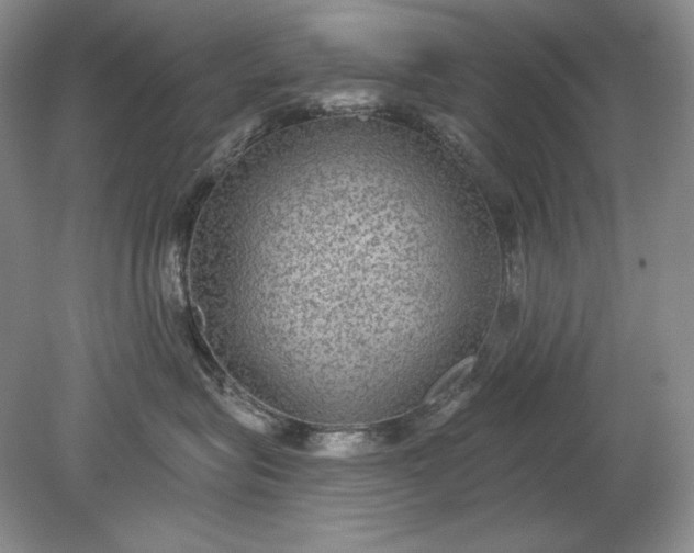 X0000079290575200612011727