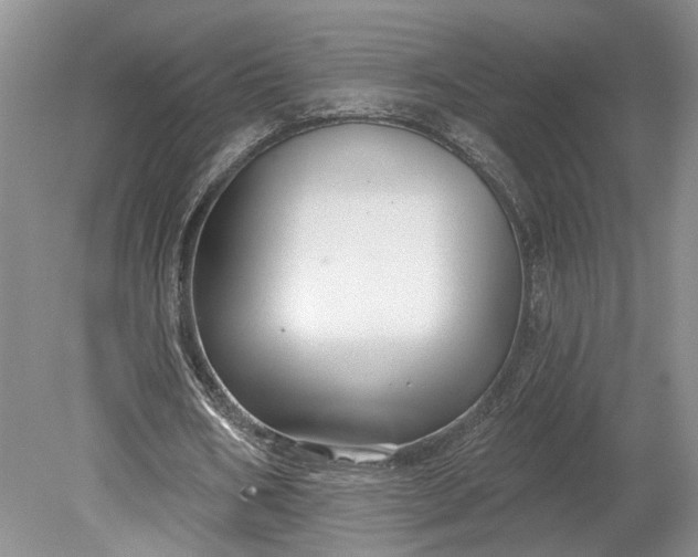 X0000079290578200612011726
