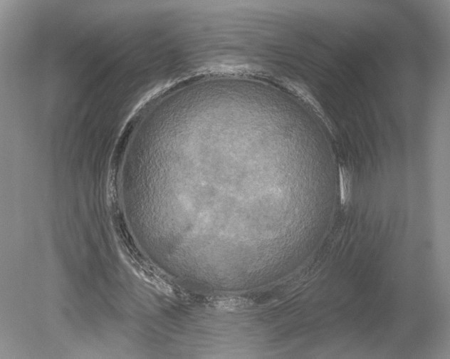 X0000079290579200612011726