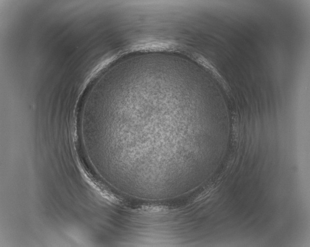 X0000079290582200612011726