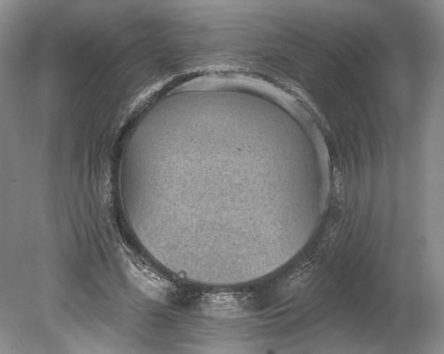 X0000079290588200612011726
