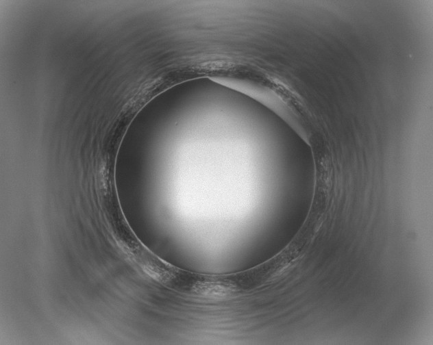 X0000079290597200612011726