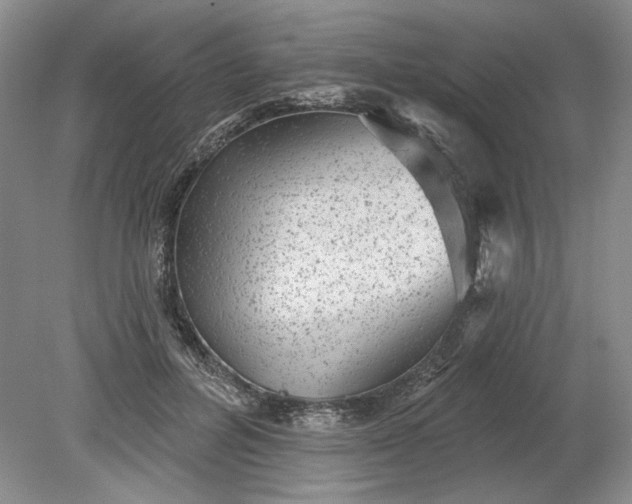 X0000079290600200612011726