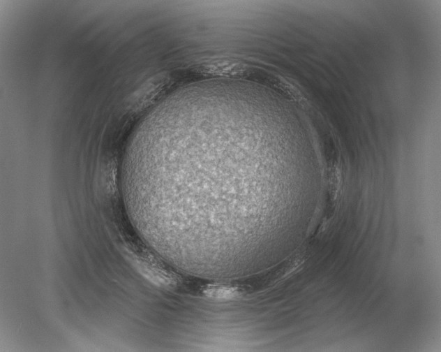 X0000079290602200612011726