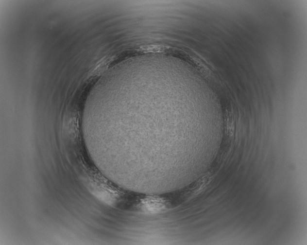 X0000079290603200612011726