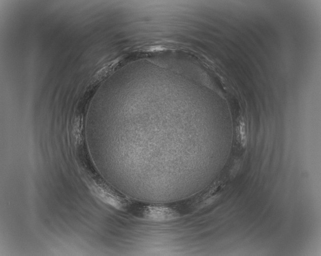 X0000079290605200612011726