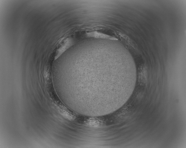X0000079290608200612011726
