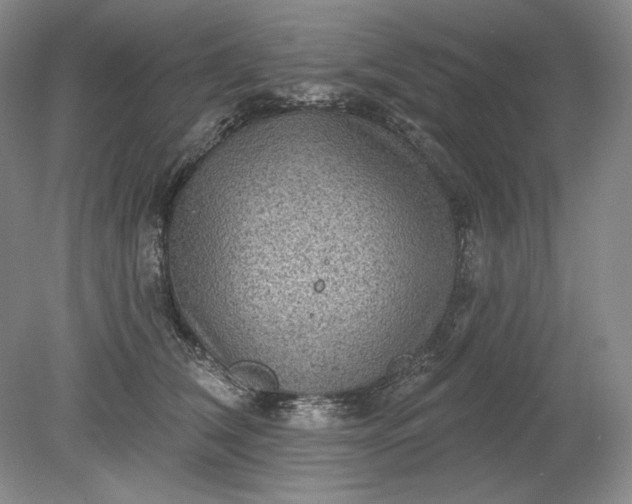 X0000079290612200612011726