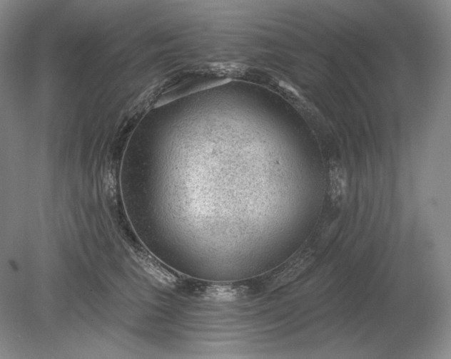 X0000079290613200612011726