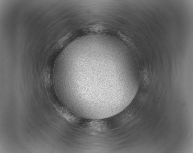 X0000079290615200612011726