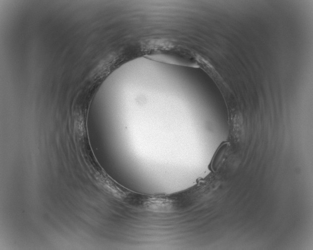 X0000079290617200612011726