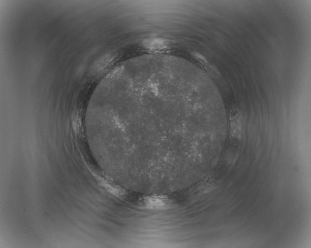 X0000079290618200612011725