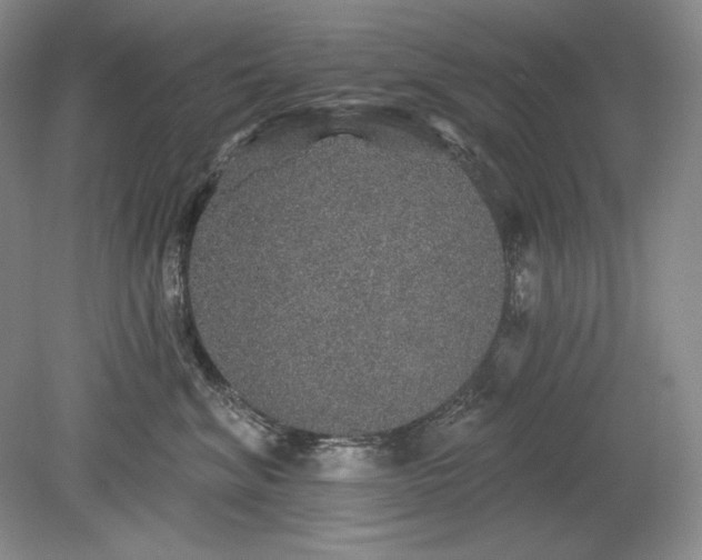 X0000079290620200612011725