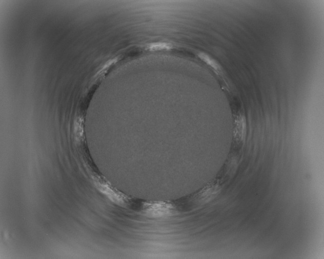 X0000079290621200612011725