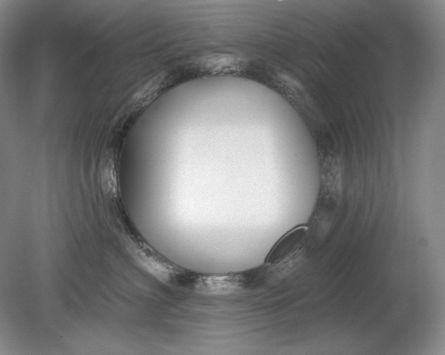 X0000079290622200612011725