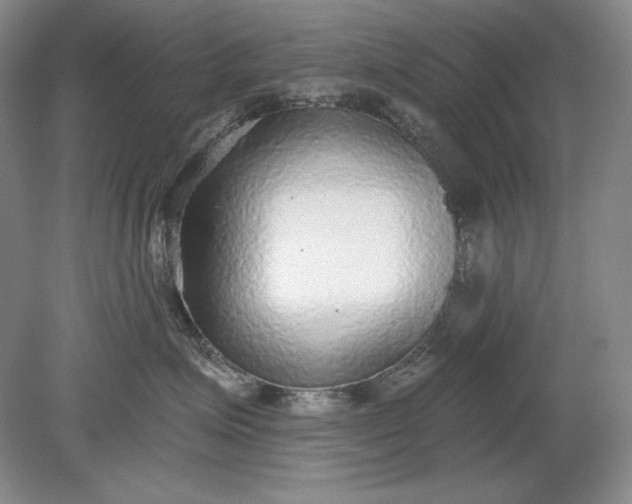 X0000079290623200612011725