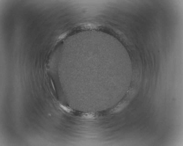 X0000079290624200612011725