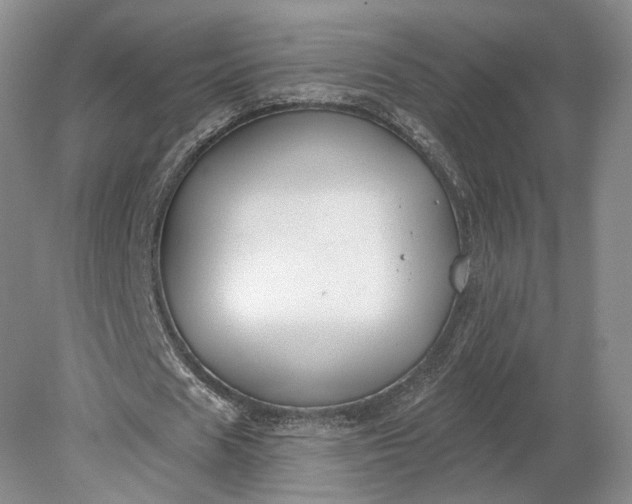 X0000079290625200612011725