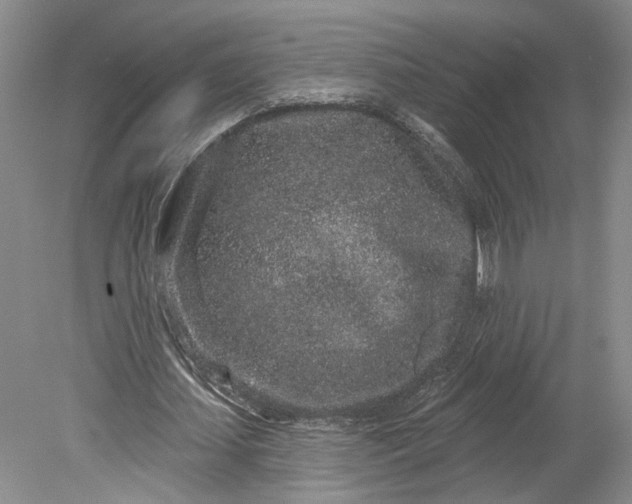 X0000079290627200612011725