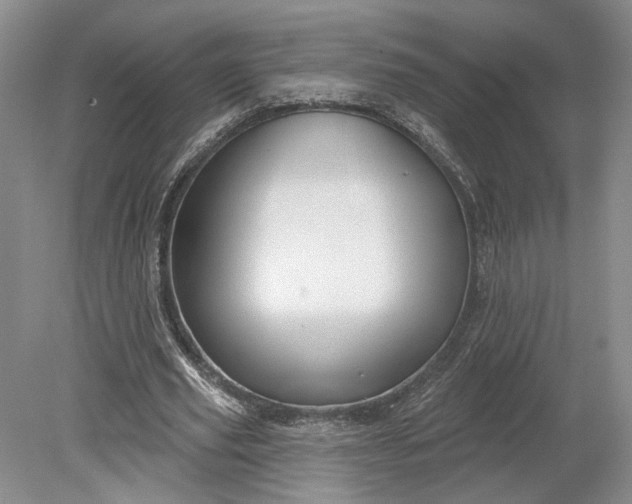 X0000079290629200612011725