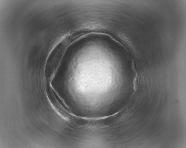 X0000079290630200612011725