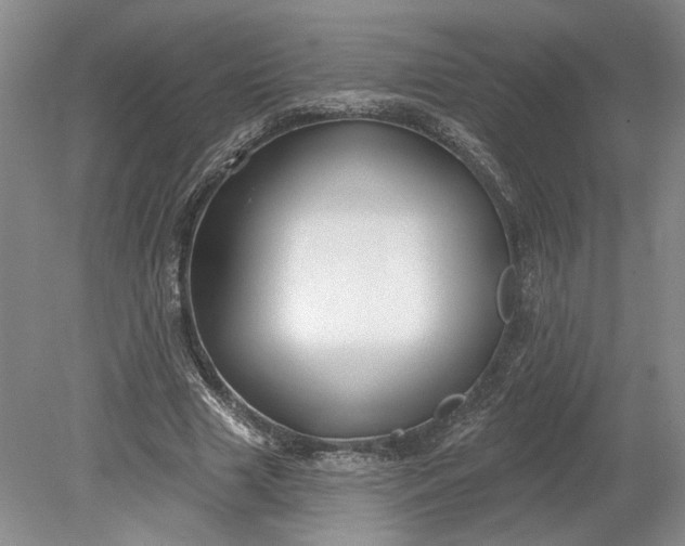 X0000079290633200612011725