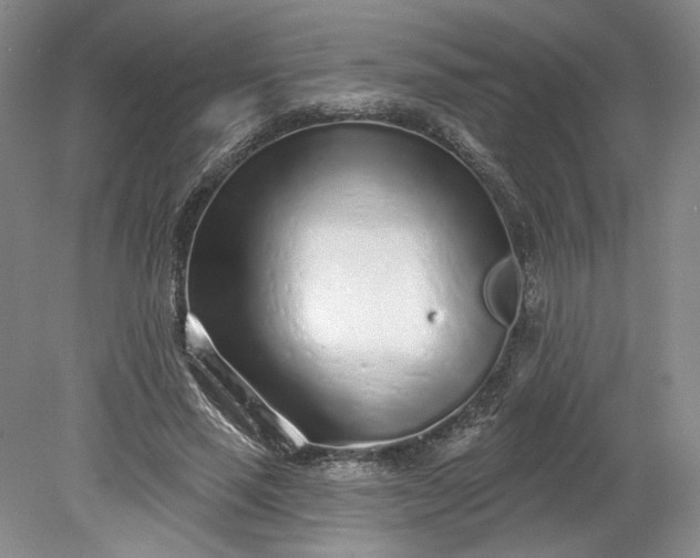 X0000079290637200612011725