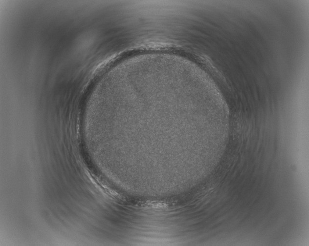 X0000079290640200612011725