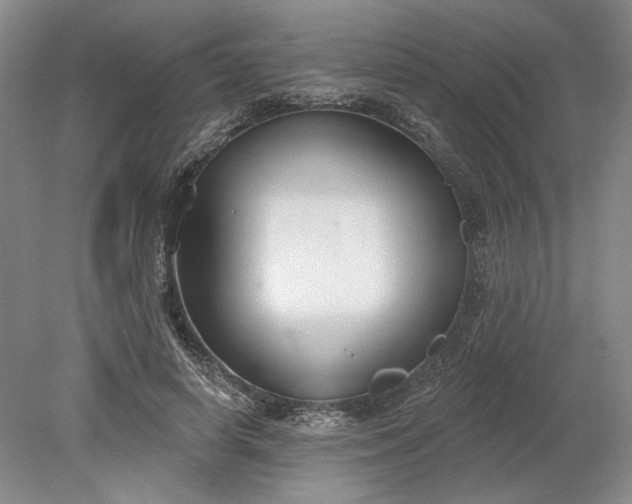 X0000079290642200612011725