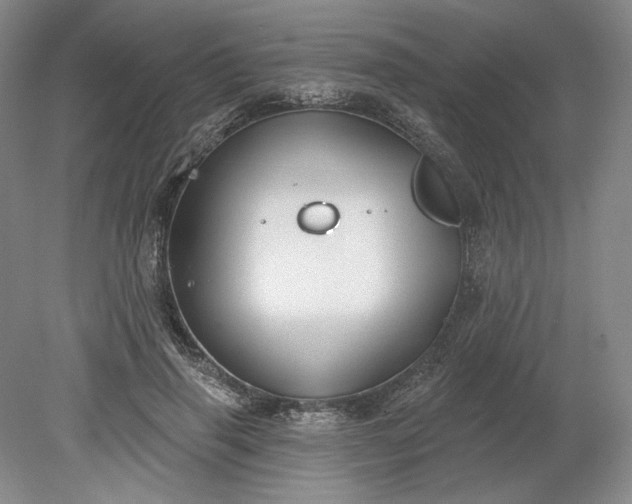 X0000079290645200612011725