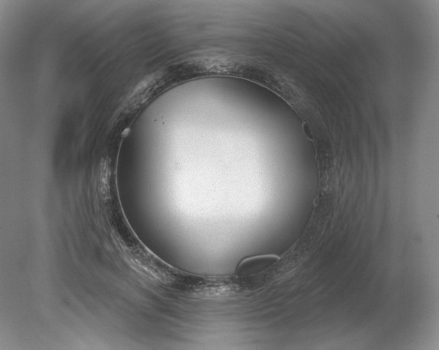 X0000079290646200612011725
