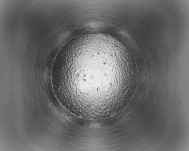X0000079290647200612011725
