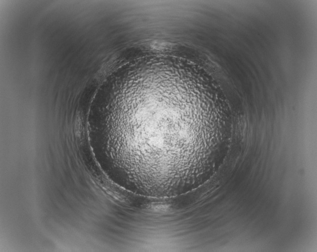 X0000079290651200612011725
