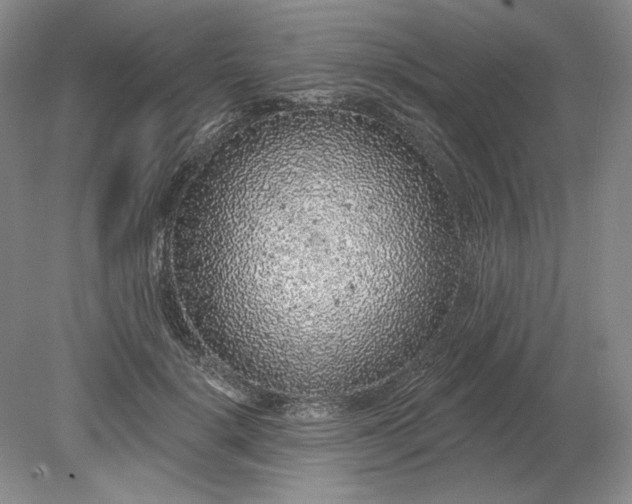 X0000079290652200612011725