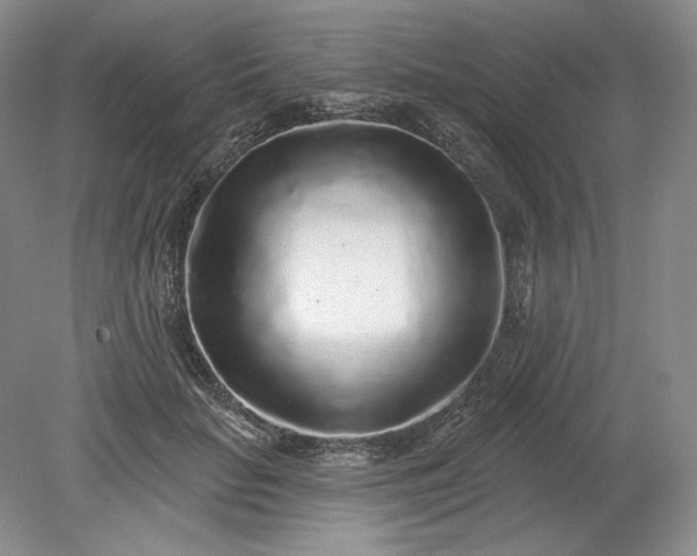 X0000079290653200612011725