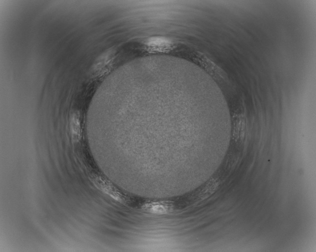 X0000079290655200612011725