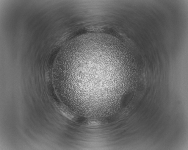 X0000079290658200612011725