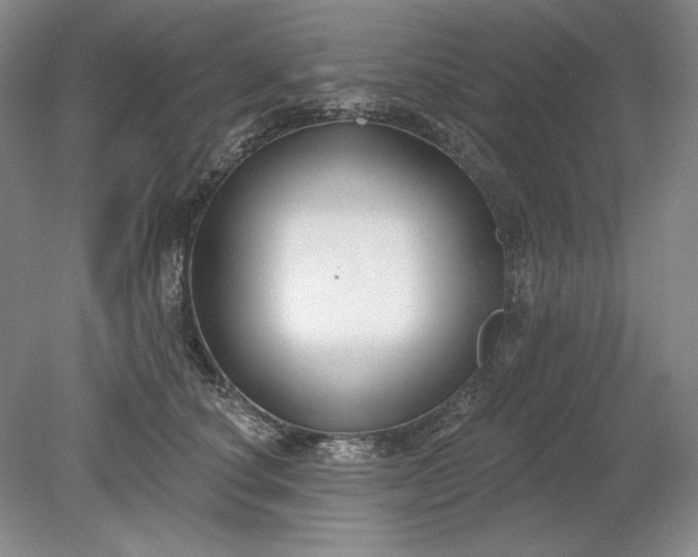 X0000079290660200612011725