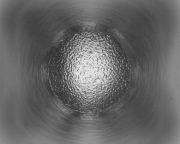 X0000079290661200612011725