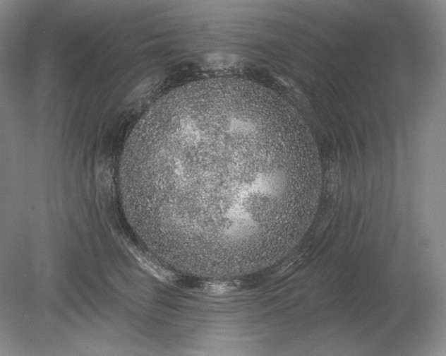 X0000079290662200612011725